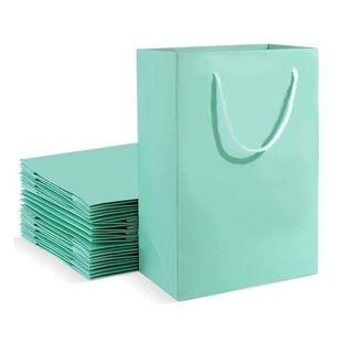 himsyuden 10枚セット 紙袋 ギフトバッグ ひも 手提げ袋 ラッピング