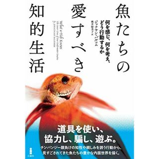 魚たちの愛すべき知的生活―何を感じ、何を考え、どう行動するか／ジョナサン・バルコム(科学/技術)