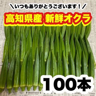 100本 高知県産 オクラ 野菜 即購入OK 産地直送 ynG(野菜)