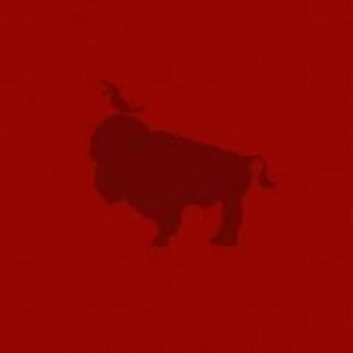【中古】CD▼スキマスイッチ ARENA TOUR ’07 W-ARENA 通常盤 2CD レンタル落ち(ポップス/ロック(邦楽))