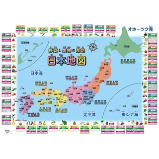 お風呂学習ポスター 日本地図 (野菜と果物の産地(中 42×30cm))
