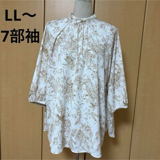 ベルーナ(Belluna)のベルーナ　ゆったりLL〜 綺麗なデザイン　バックリボン　トップス(チュニック)