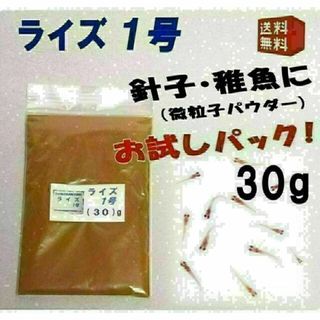 めだか の 餌 エサ◇ライズ１号（針子/微粒子パウダー）３０ｇ◇メダカ えさ①(アクアリウム)