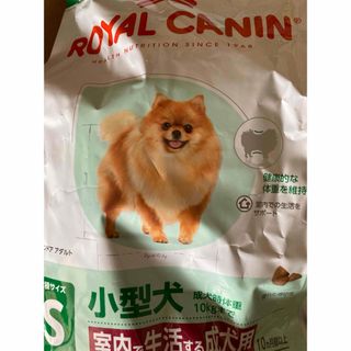 ロイヤルカナン(ROYAL CANIN)のロイヤルカナン ミニ インドア アダルト 800g 新品未使用(ペットフード)