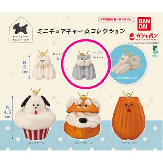 Maisom terrier ミニチュアチャームコレクション(その他)
