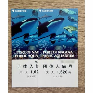 名古屋港水族館 入館 チケット ペア(水族館)