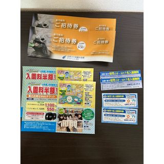 日本モンキーパーク　南知多ビーチランド　アクア・トトぎふ　割引券　入場券　愛知(その他)