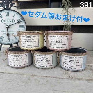 リメイク缶391☆多肉植物☆寄せ植え☆インテリア(その他)