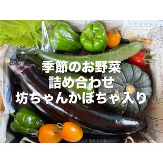 季節の野菜詰め合わせ 坊ちゃんかぼちゃ入り 愛媛県産 コンパクトボックス(野菜)