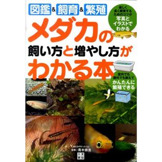 メダカの飼い方と増やし方がわかる本 図鑑＆飼育＆繁殖  /日東書院本社/青木崇浩（単行本（ソフトカバー））(住まい/暮らし/子育て)