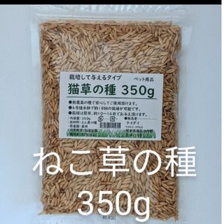 【17回分】猫草の種350g 食べられる草の種 農薬不使用 ペットの健康 エン麦(猫)