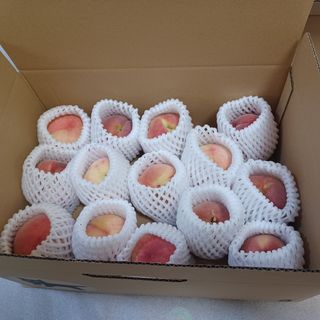 桃　あかつき　訳あり　SSサイズ　キズあり　14玉　2.2kg(野菜)