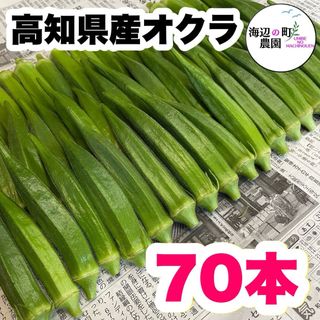 夏野菜【高知県産オクラ】A品＆B品 70本 おくら 野菜 産地直送  Mvs(野菜)