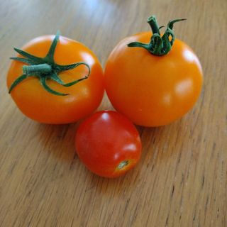 とまと(野菜)