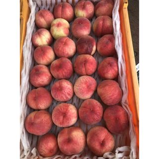 38,早勝ち福島産 朝採り完熟桃箱込み3kg訳あり家庭用甘くて美味しい桃常温便(フルーツ)