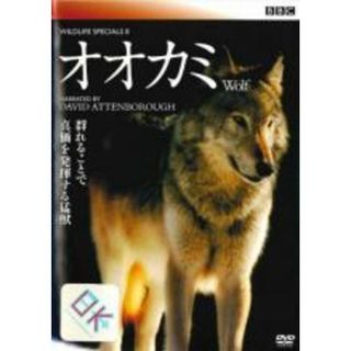 【中古】DVD▼BBC ワイルドライフ スペシャル 2 オオカミ 字幕のみ レンタル落ち(趣味/実用)