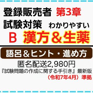 【登録販売者テキスト】試験対策B ラクマ匿名配送2,980円