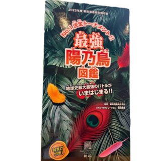 新政　頒布会2025  第三弾　2セット(日本酒)