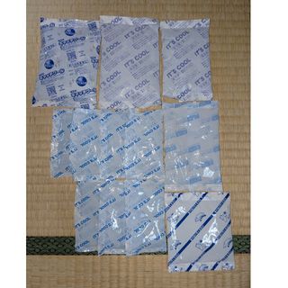 保冷剤　まとめ売り　小中　12個