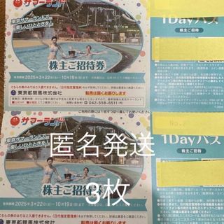 東京サマーランド　株主優待券　3枚セット(遊園地/テーマパーク)
