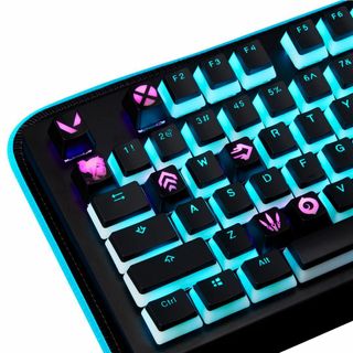 Valorant ヴァロラント カスタムキーキャップ（エージェント・ハーバー）-(PC周辺機器)