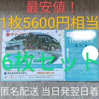 最安値！最新 東京都競馬株主優待6枚 サマーランド 匿名配送 当日発送翌日着(その他)