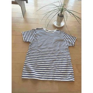 tantan購入＊ボーダーTシャツ
