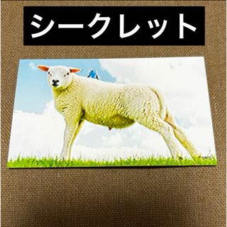 パペットスンスン コレクションスマロイド シークレット(写真)