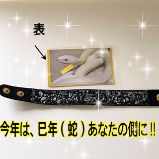 今年は巳(蛇)年です。 蛇の模様やアクセサリーはとても良い縁起が良いです