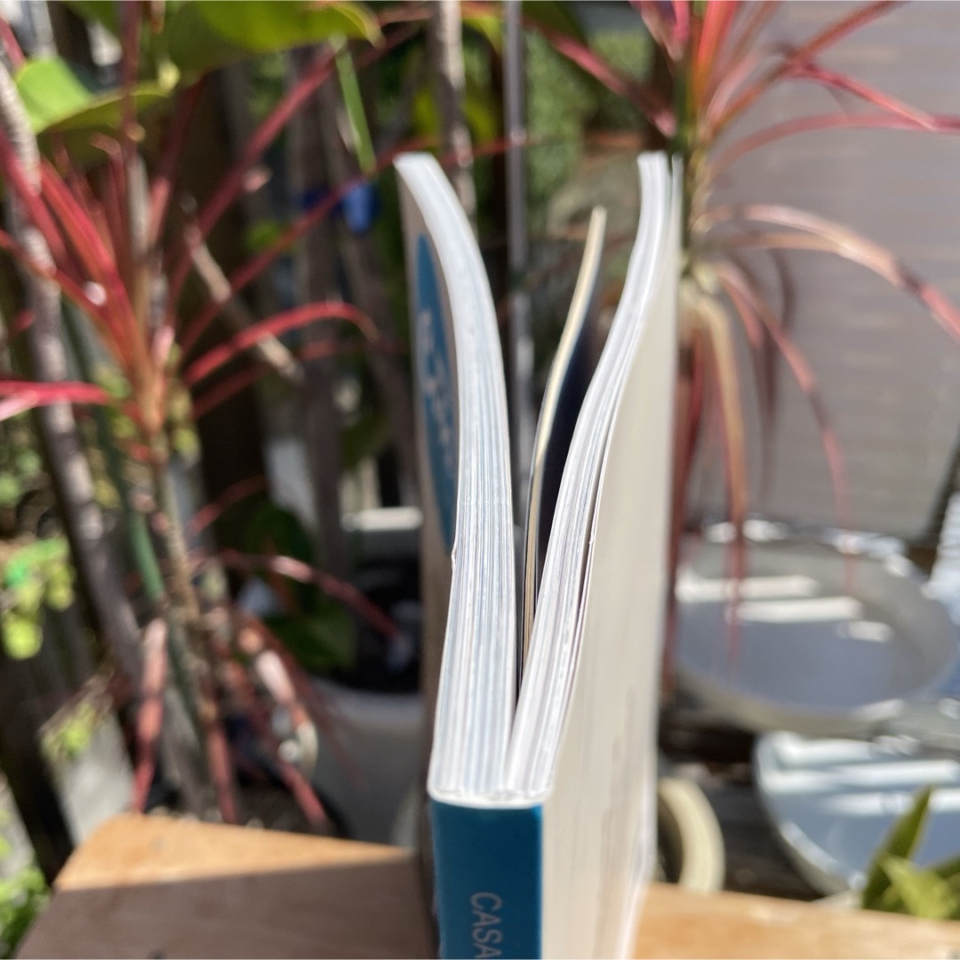 Casa BRUTUS特別編集 ガウディと井上雄彦 エンタメ/ホビーの本(アート/エンタメ)の商品写真