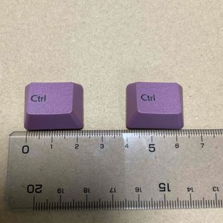Realforce R3 日本語配列　ダークモーブ　Ctrlキー　2個セット