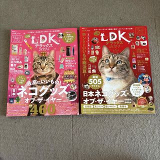 LDK ãã©ãã¯ã¹2025 ãã³ã°ããºãªãã¶ã€ã€ãŒ