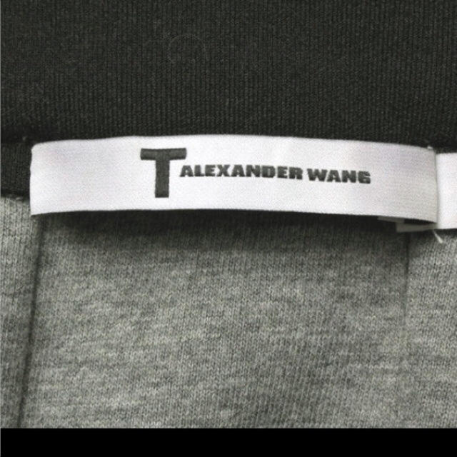 Alexander Wang(アレキサンダーワン)のアレキサンダーワン フレアスカート レディースのスカート(ミニスカート)の商品写真