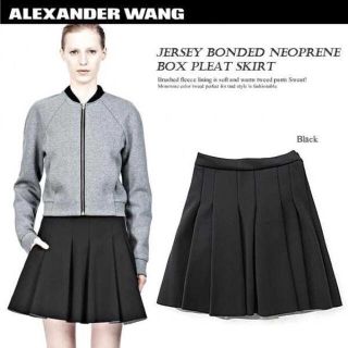 アレキサンダーワン(Alexander Wang)のアレキサンダーワン フレアスカート(ミニスカート)