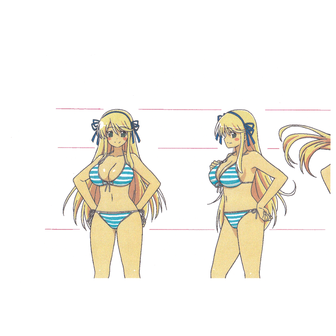 閃乱カグラ　設定資料　108枚 閃乱カグラ 設定資料 108枚の通販 by 春菊's shop｜ラクマ