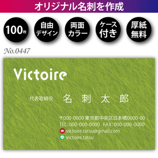 名刺作成 名刺印刷 100枚 両面 フルカラー 紙ケース付 No.0447(カード/レター/ラッピング)