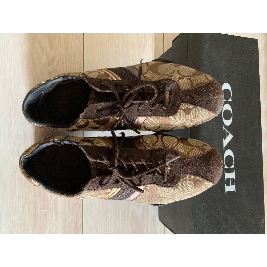 COACH　シューズ 公式】コーチアウトレット | クリップ ロー トップ スニーカー