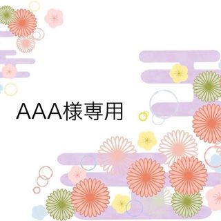 AAA様専用(その他)