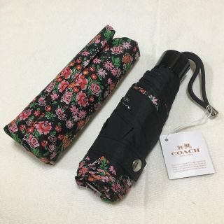 コーチ(COACH)の新品 コーチ  折りたたみ傘 花柄(傘)