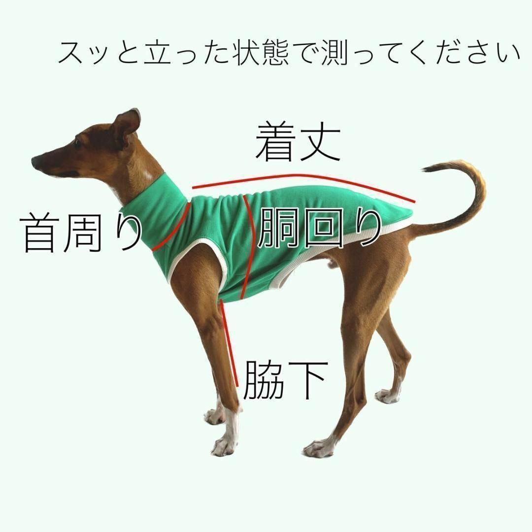 hkeiko1978ページ イタグレ服 ハンドメイド イタグレ服 ボーダーTシャツ ブラック ハンドメイド Mサイズの