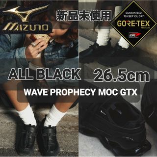 【26.5cm】MizunoWAVE PROPHECY MOC GORE-TEX