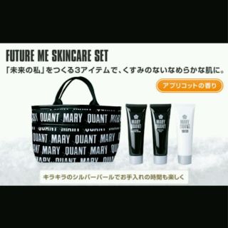 マリークワント(MARY QUANT)のマリークワントバッグインバッグFUTUREME限定品新品未使用MARYQUANT(その他)