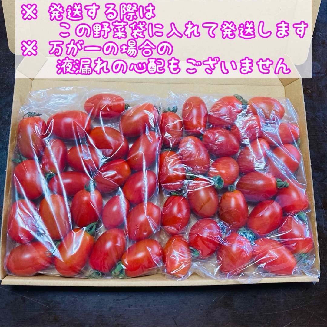 青森県産 ミニトマト アイコ 食品/飲料/酒の食品(野菜)の商品写真