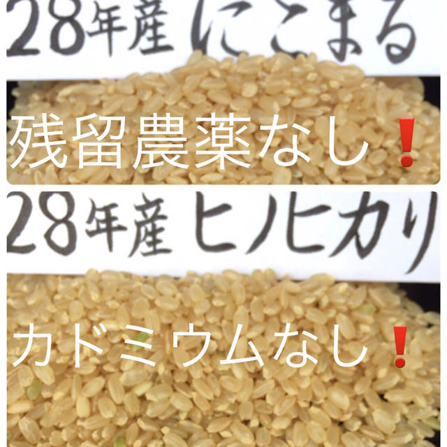 (食べ比べ3合x2)28年産にこまる＆ヒノヒカリ 食品/飲料/酒の食品(米/穀物)の商品写真