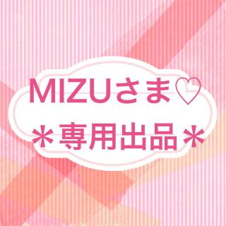 ♡MIZUさま♡専用出品＊(その他)