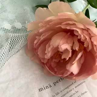 ★作成中【同梱分】えるも様♡ご予約♡専用♡