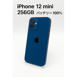 iPhone 12 mini 256GB MGDV3J/A - 7924
