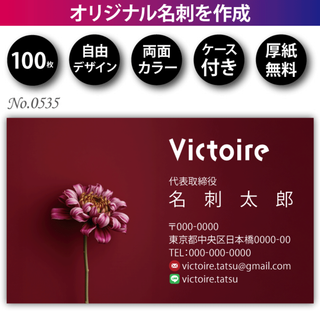 名刺作成 名刺印刷 100枚 両面 フルカラー 紙ケース付 No.0535(カード/レター/ラッピング)