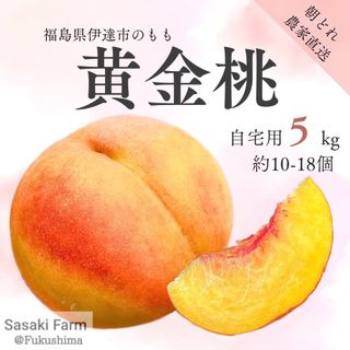 自宅用【黄金桃 5kg 約10-18個】(フルーツ)