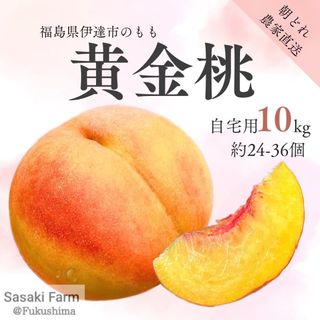 自宅用【黄金桃 10kg 約24-36個】(フルーツ)
